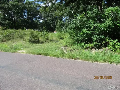 841 Shady Ln, Sullivan, MO 63080 photo 2