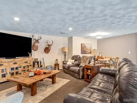 Living - 600 Covington Dr, Waterloo, IL 62298 photo 8 of 8