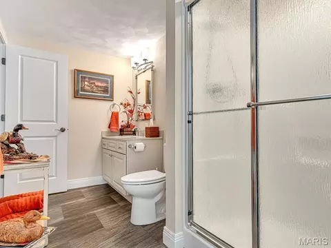 Bath - 600 Covington Dr, Waterloo, IL 62298 photo 5 of 6