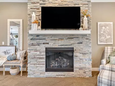 Living - 600 Covington Dr, Waterloo, IL 62298 photo 7 of 8