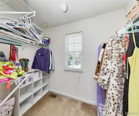 Other - 233 Spring Borough Dr, O'fallon, MO 63368 photo 12 of 20