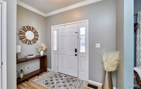 Entry Way - 233 Spring Borough Dr, O'fallon, MO 63368 photo 1 of 7