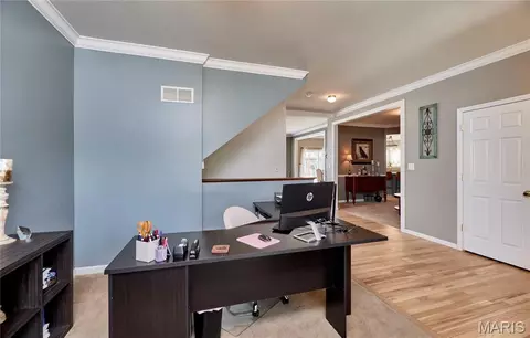 Other - 233 Spring Borough Dr, O'fallon, MO 63368 photo 2 of 20