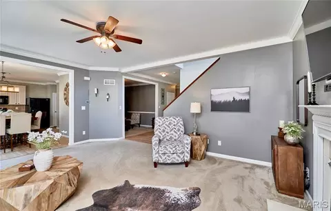 Other - 233 Spring Borough Dr, O'fallon, MO 63368 photo 8 of 20