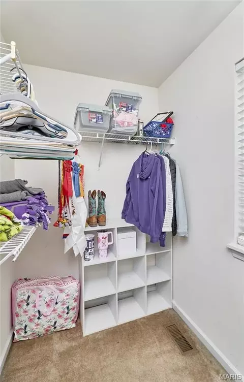 Other - 233 Spring Borough Dr, O'fallon, MO 63368 photo 11 of 20
