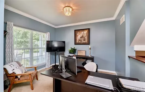 Other - 233 Spring Borough Dr, O'fallon, MO 63368 photo 1 of 20