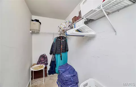 Other - 233 Spring Borough Dr, O'fallon, MO 63368 photo 13 of 20