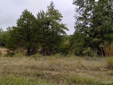 11050 County Road 2220, Rolla, MO 65401 photo 4
