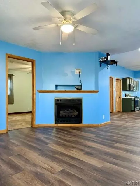 Living - 411 Smith St, Hannibal, MO 63401 photo 2 of 4