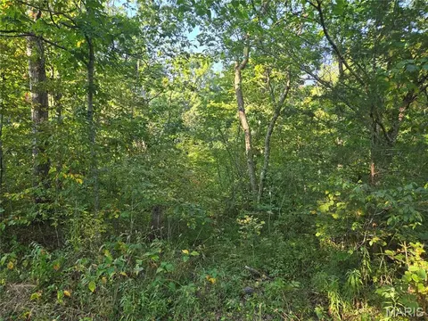 0 Tranquil Oaks, Wright City, MO 63390 photo 4