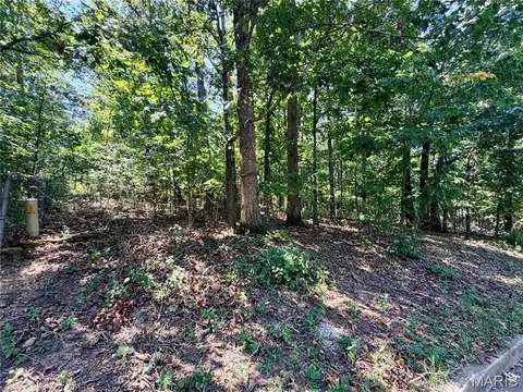 Exterior - 1710 Forest Pl, Rolla, MO 65401 photo 7 of 8