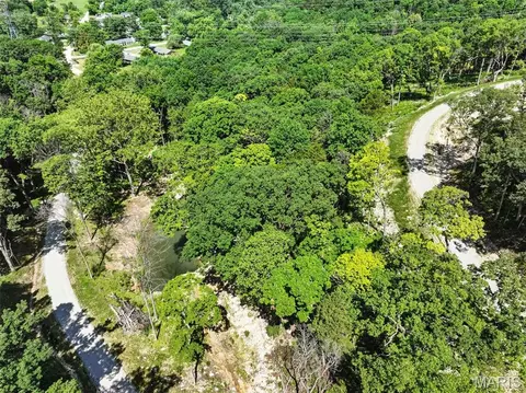 View/Area - 45 Ac Twin River Rd, Eureka, MO 63025 photo 14 of 16