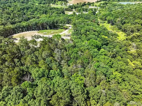 View/Area - 45 Ac Twin River Rd, Eureka, MO 63025 photo 15 of 16