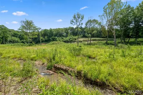 Other - 45 Ac Twin River Rd, Eureka, MO 63025 photo 6 of 14