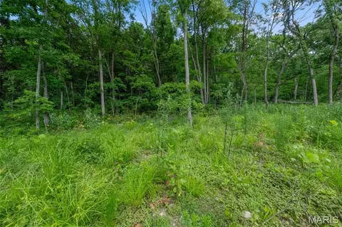 Exterior - 45 Ac Twin River Rd, Eureka, MO 63025 photo 5 of 5