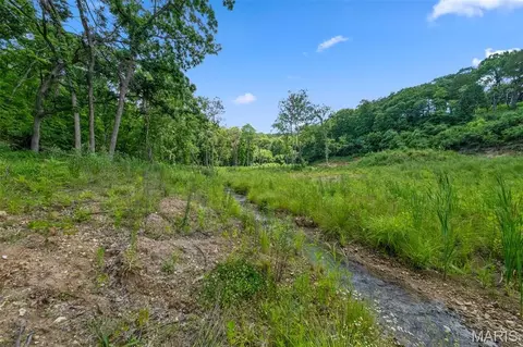 Other - 45 Ac Twin River Rd, Eureka, MO 63025 photo 3 of 14