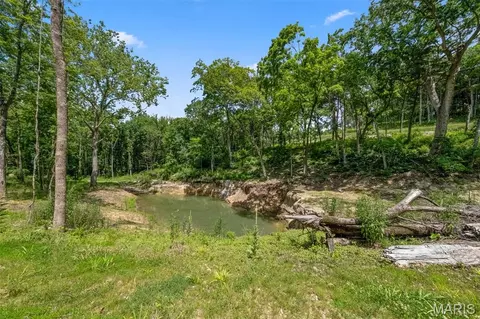 View/Area - 45 Ac Twin River Rd, Eureka, MO 63025 photo 2 of 16