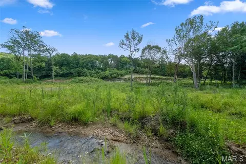 View/Area - 45 Ac Twin River Rd, Eureka, MO 63025 photo 6 of 16