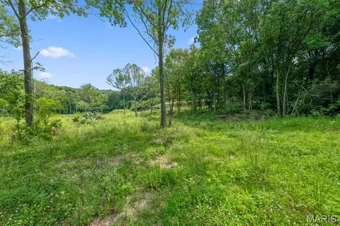Exterior - 45 Ac Twin River Rd, Eureka, MO 63025 photo 1 of 5