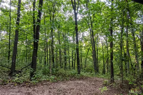 00 Pike 268 Hwy, Eolia, MO 63344 photo 41