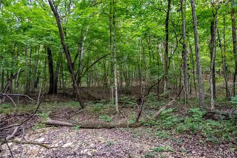 00 Pike 268 Hwy, Eolia, MO 63344 photo 59