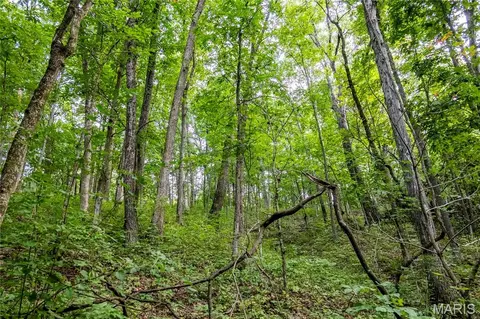 00 Pike 268 Hwy, Eolia, MO 63344 photo 46