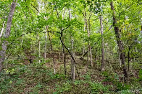 00 Pike 268 Hwy, Eolia, MO 63344 photo 31