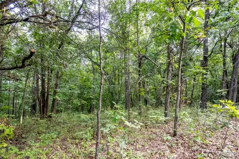 00 Pike 268 Hwy, Eolia, MO 63344 photo 47