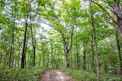 00 Pike 268 Hwy, Eolia, MO 63344 photo 5