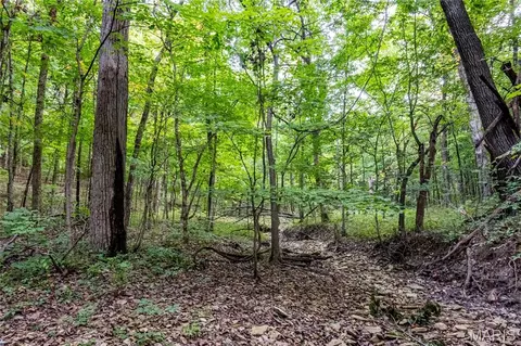 00 Pike 268 Hwy, Eolia, MO 63344 photo 54