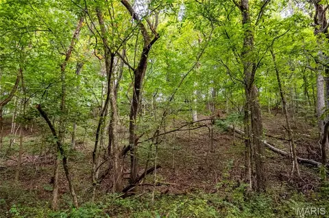 00 Pike 268 Hwy, Eolia, MO 63344 photo 39