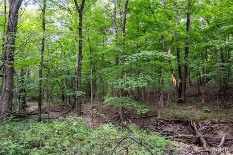 00 Pike 268 Hwy, Eolia, MO 63344 photo 58