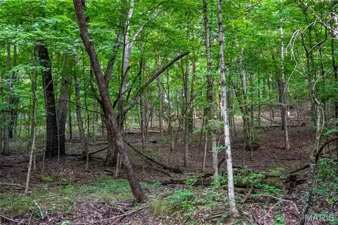 00 Pike 268 Hwy, Eolia, MO 63344 photo 55