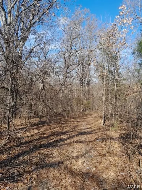 15580 E Highway 32, Boss, MO 65440 photo 5