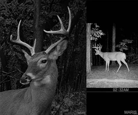 15580 E Highway 32, Boss, MO 65440 photo 7