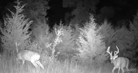 Other - 13505 State Rd E Rd, De Soto, MO 63020 photo 14 of 17