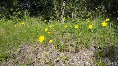 Other - 13505 State Rd E Rd, De Soto, MO 63020 photo 7 of 17