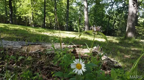 Exterior - 13505 State Rd E Rd, De Soto, MO 63020 photo 15 of 21
