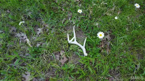 Other - 13505 State Rd E Rd, De Soto, MO 63020 photo 12 of 17