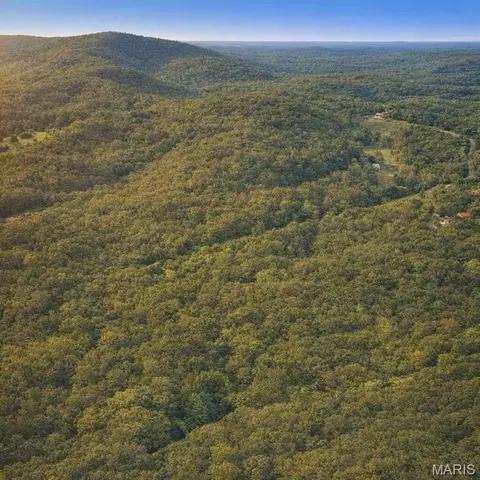 Undisclosed, Mountain View, MO 65548 photo 4