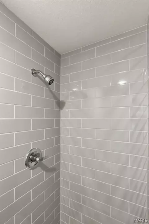 Bath - 545 Johnson St, Bourbon, MO 65441 photo 4 of 4