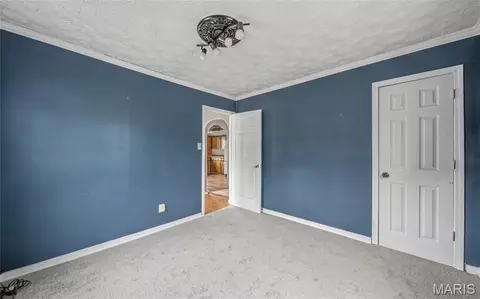 Other - 205 Maple St S, Dixon, MO 65459 photo 5 of 10
