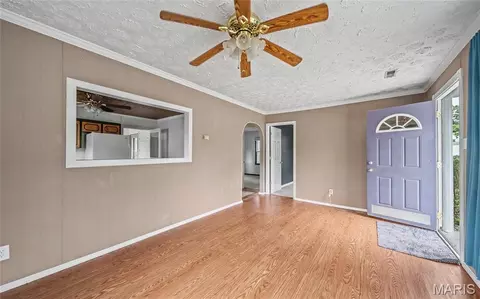 Entry Way - 205 Maple St S, Dixon, MO 65459 photo 1 of 4