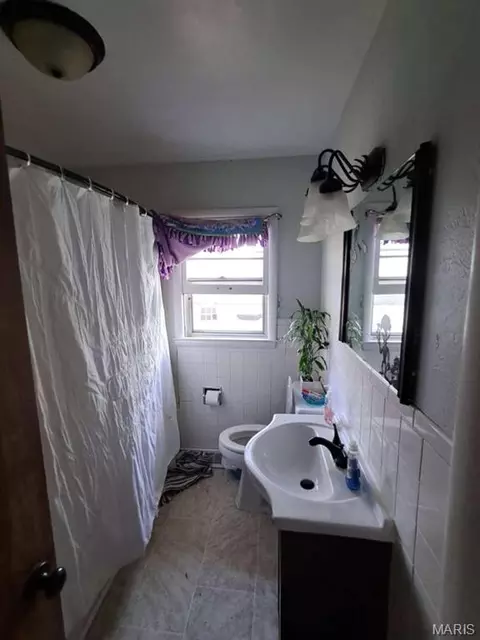 Bath - 209 E Sunset Dr, Hale, MO 64643 photo 1 of 2