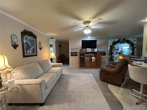 Living - 411 Dacus Dr, Sikeston, MO 63801 photo 1 of 2