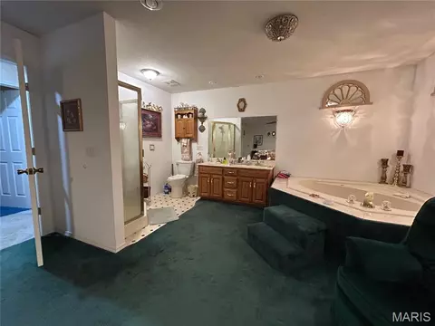 Bath - 411 Dacus Dr, Sikeston, MO 63801 photo 3 of 3