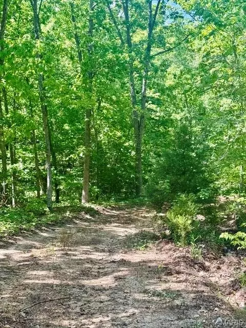 000 Bailey, Licking, MO 65542 photo 24