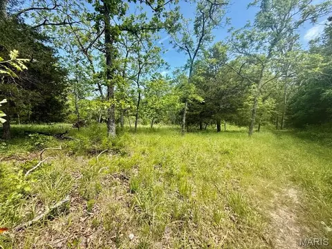 000 Bailey, Licking, MO 65542 photo 31