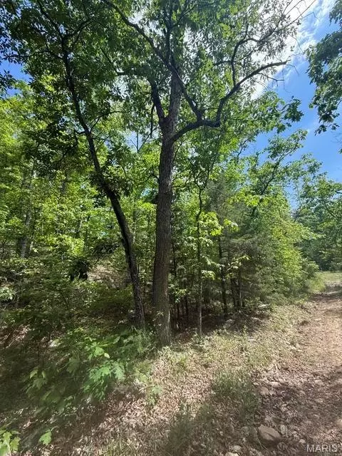 000 Bailey, Licking, MO 65542 photo 23