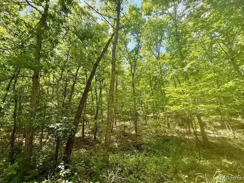 000 Bailey, Licking, MO 65542 photo 16